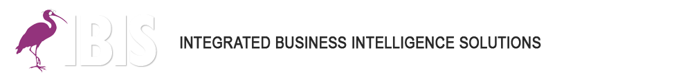 Integrated Business Intelligence Solutions